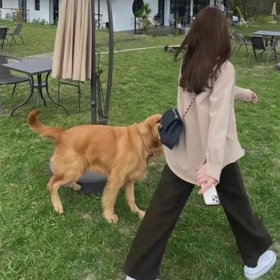 创造奇迹的女人