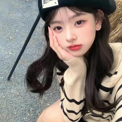 盗贼生涯